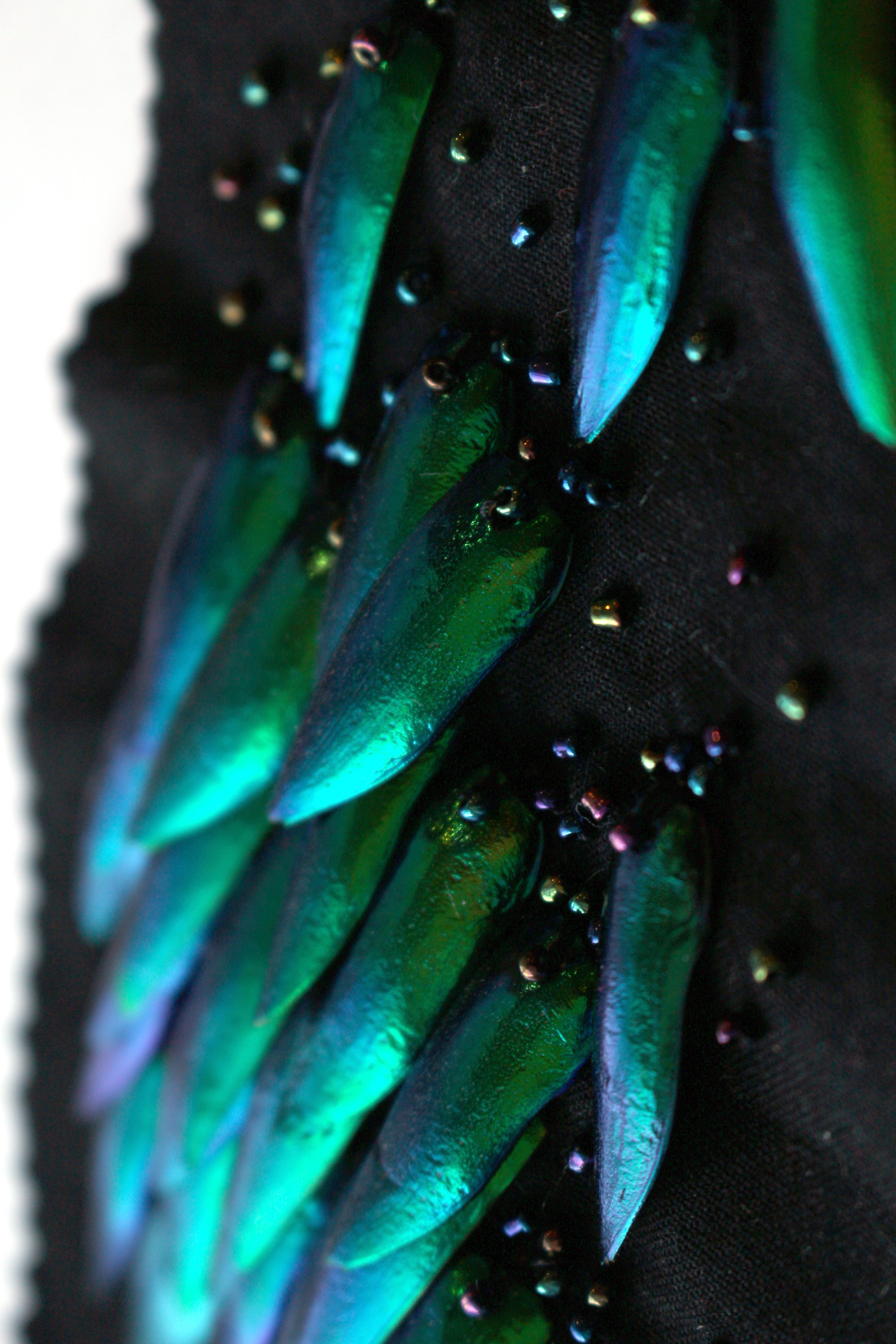 A photo of a material sample: a piece of black fabric onto which is embroidered several green, irridescent beetle wigns and glass beads.